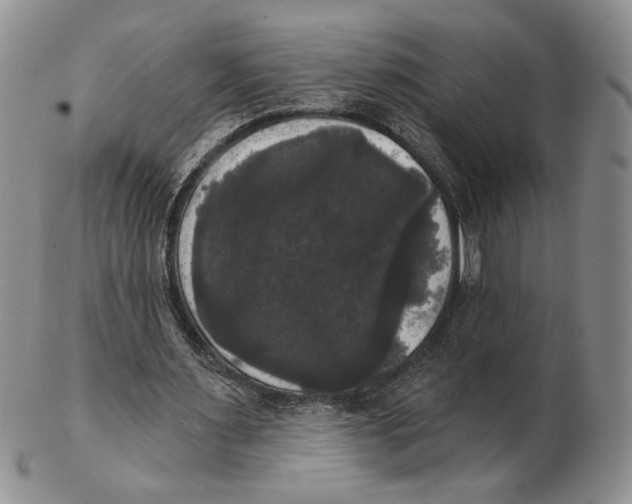 X0000102240483200808221334