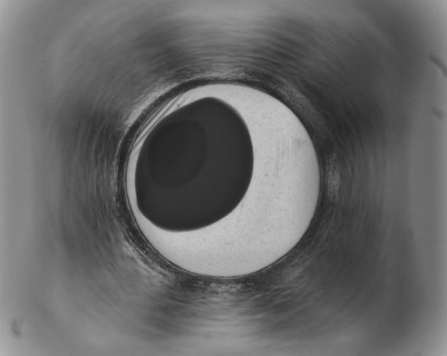 X0000102240484200808221334