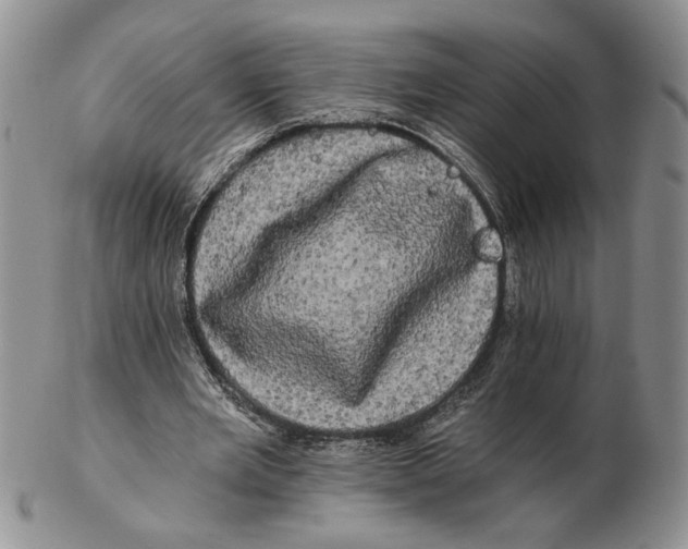 X0000102240485200808221334