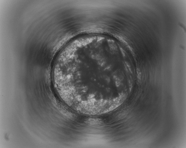 X0000102240487200808221334