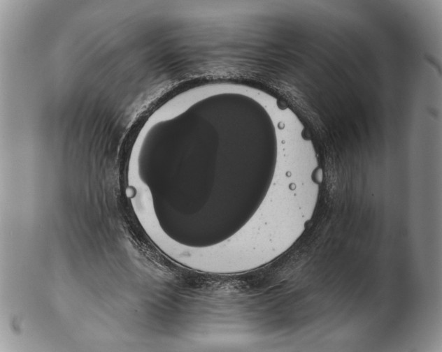 X0000102240488200808221334