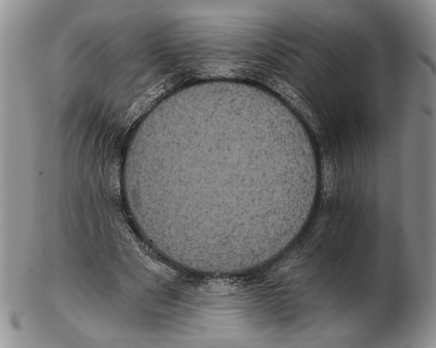 X0000102240489200808221334