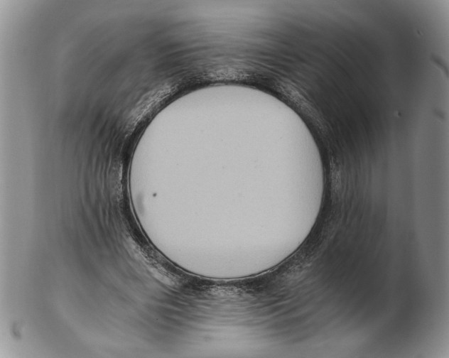 X0000102240490200808221334