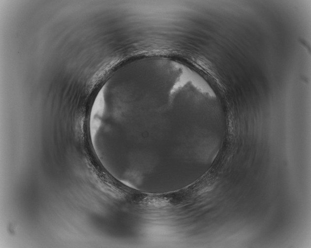 X0000102240491200808221334