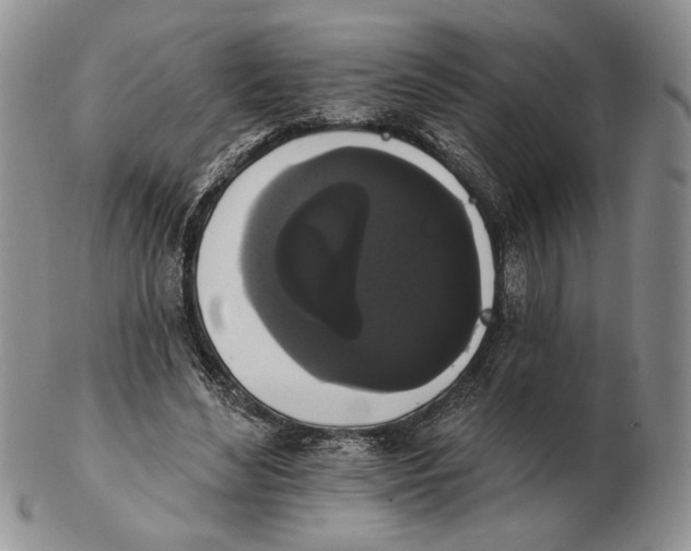 X0000102240492200808221334