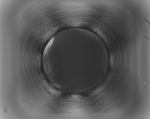 X0000102240493200808221334