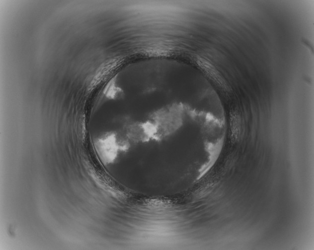 X0000102240494200808221334