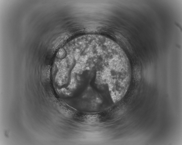 X0000102240495200808221334