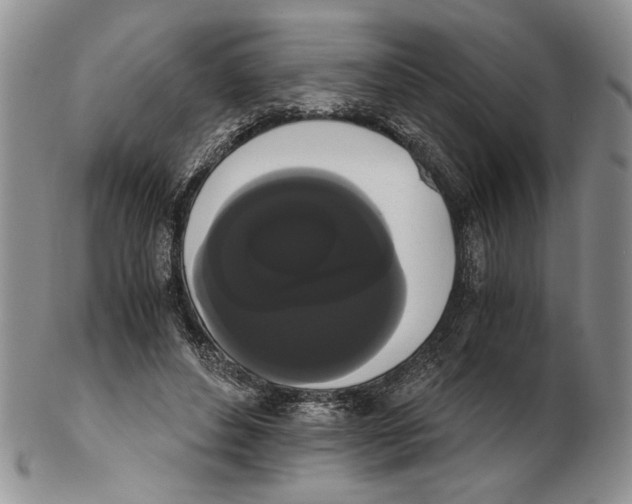 X0000102240496200808221334