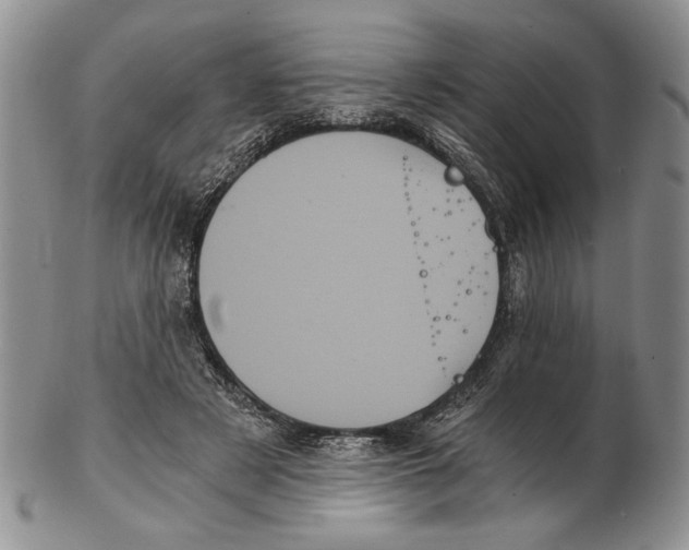 X0000102240497200808221334