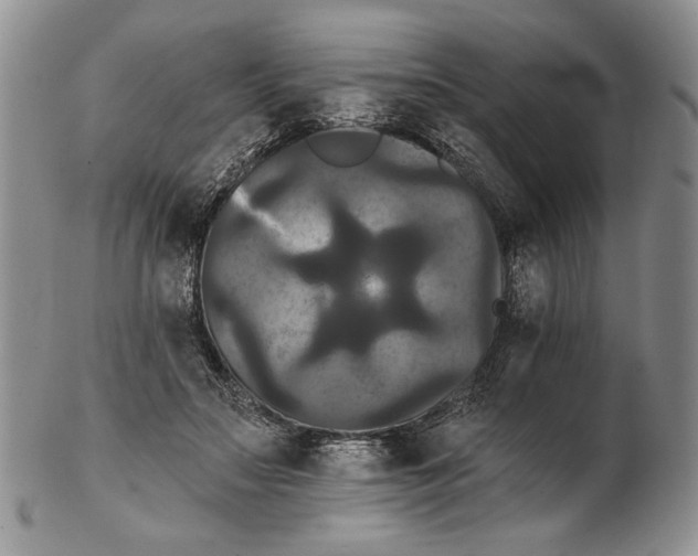 X0000102240499200808221334