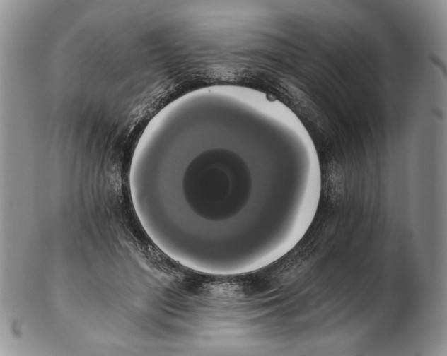 X0000102240500200808221334