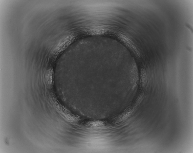 X0000102240501200808221334