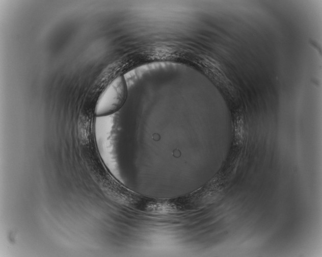 X0000102240503200808221334