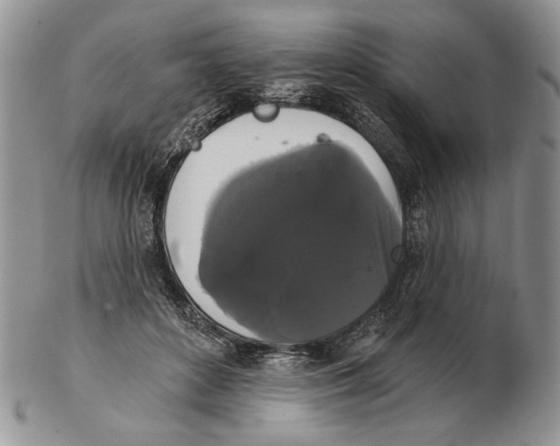 X0000102240504200808221334