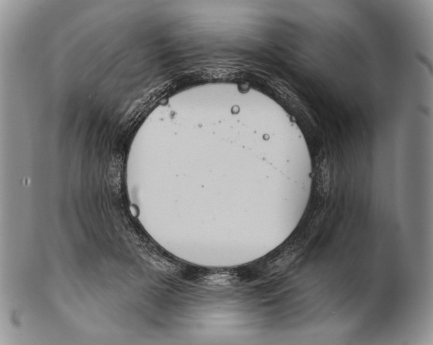 X0000102240505200808221334