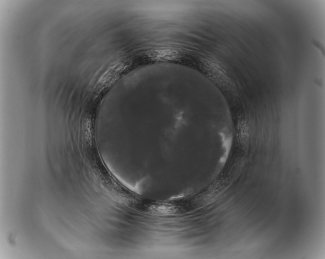 X0000102240506200808221333