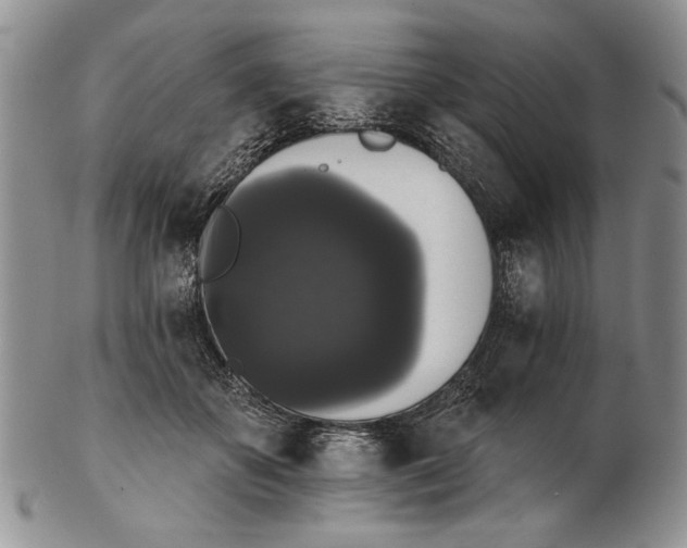 X0000102240507200808221333