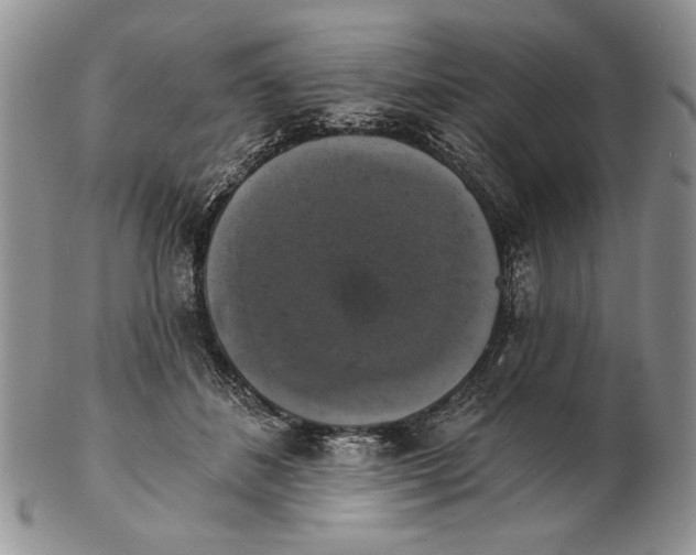 X0000102240508200808221333