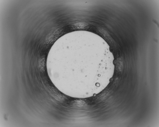 X0000102240509200808221333