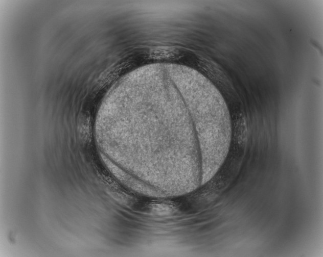 X0000102240510200808221333