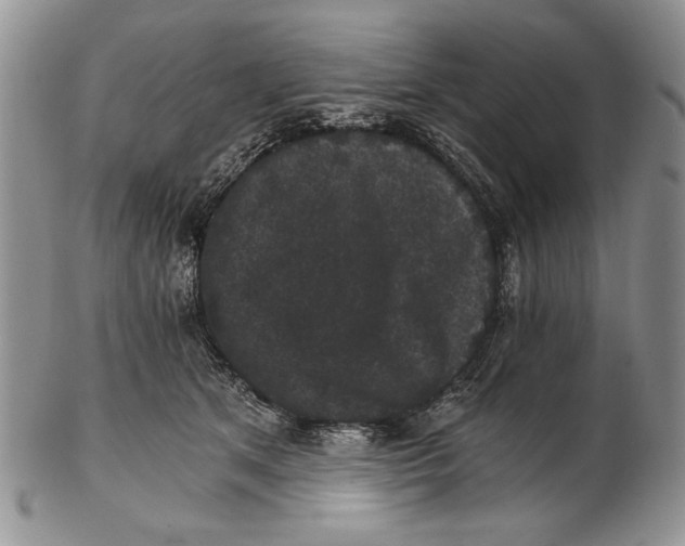 X0000102240513200808221333