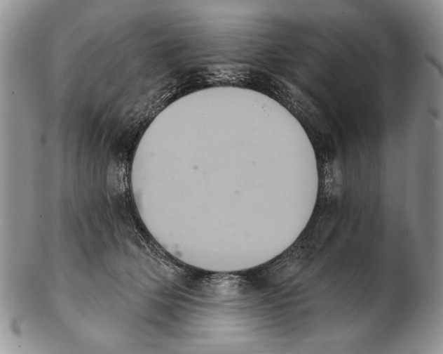 X0000102240514200808221333