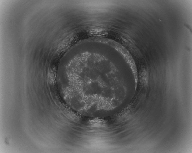 X0000102240515200808221333