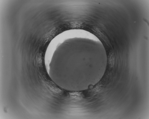 X0000102240516200808221333