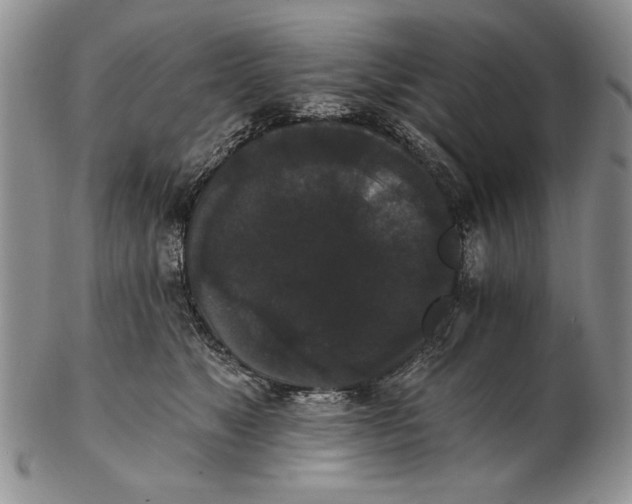 X0000102240517200808221333