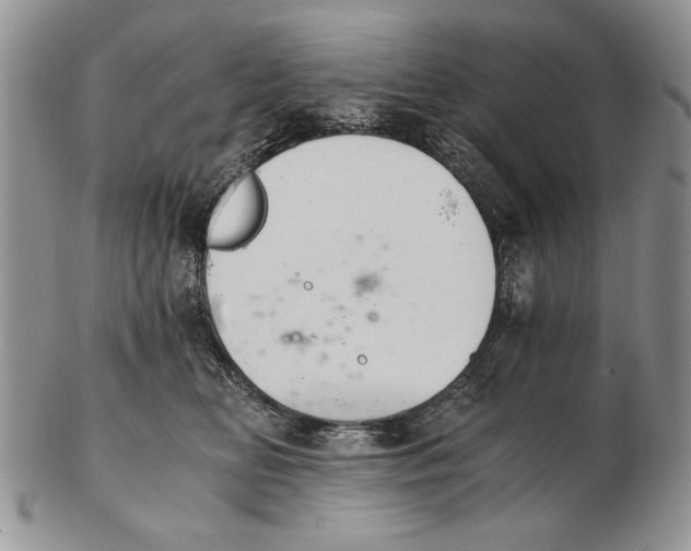 X0000102240518200808221333