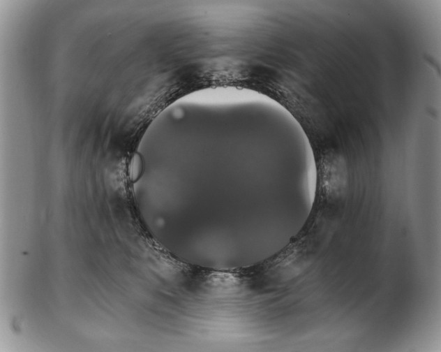 X0000102240519200808221333