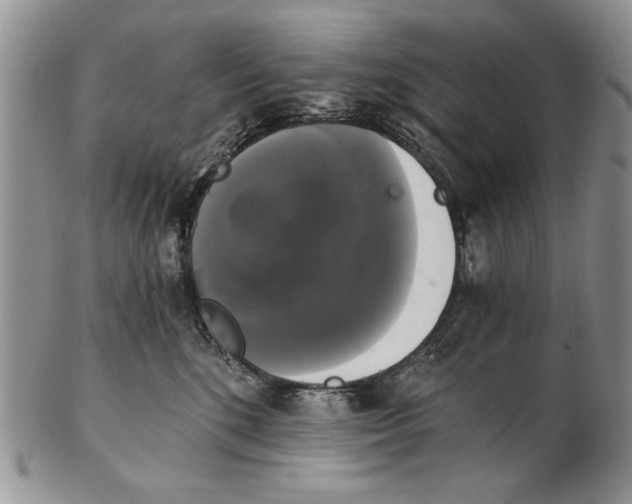 X0000102240520200808221333