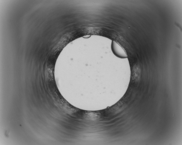 X0000102240522200808221333