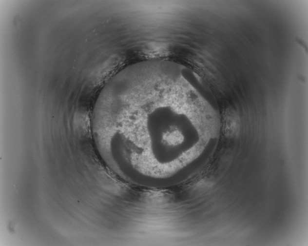 X0000102240523200808221333