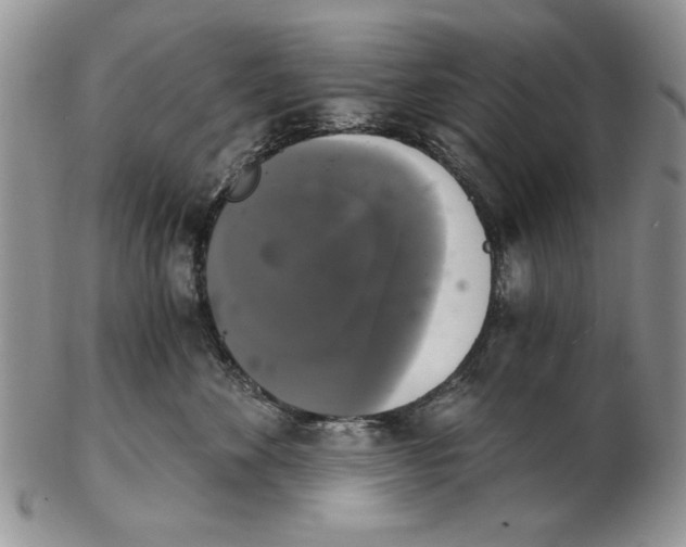 X0000102240524200808221333