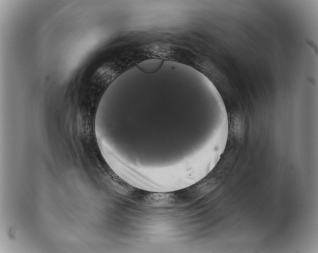 X0000102240526200808221333