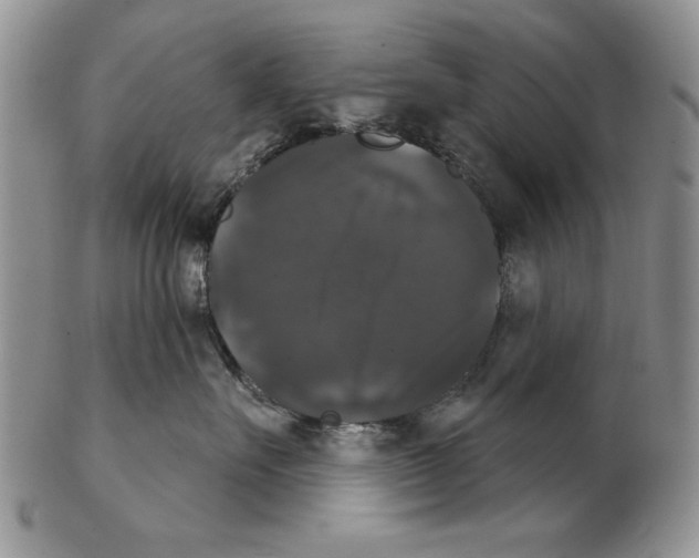 X0000102240527200808221333