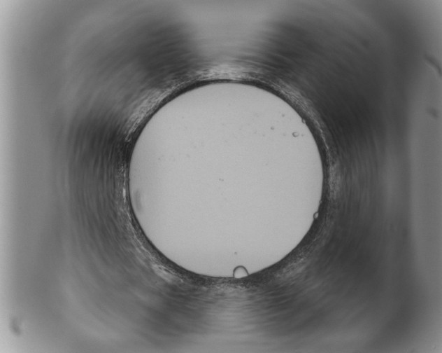 X0000102240529200808221332