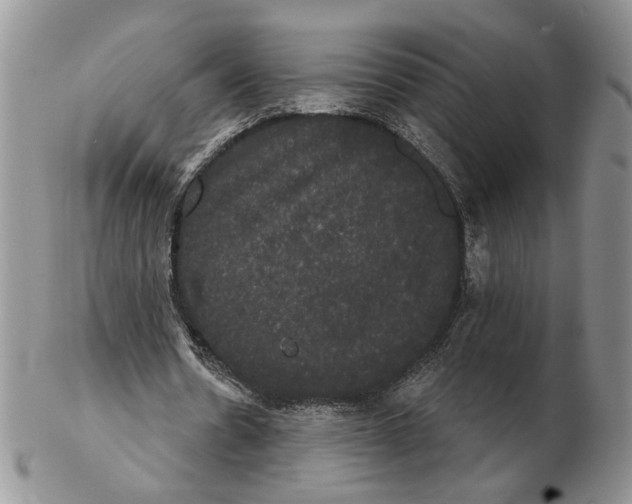 X0000102240530200808221332