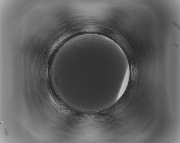 X0000102240531200808221332