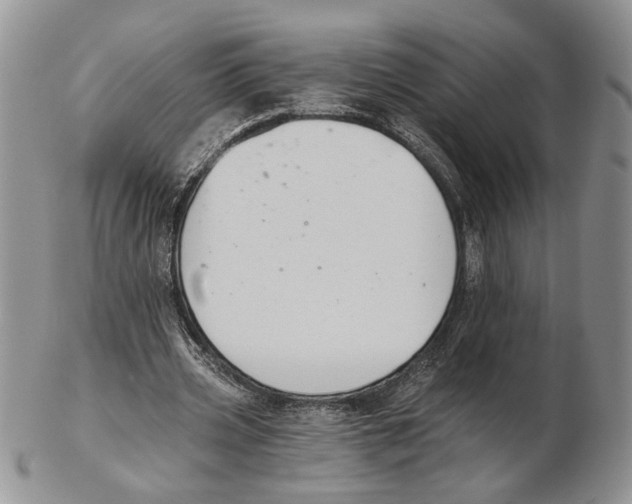 X0000102240533200808221332