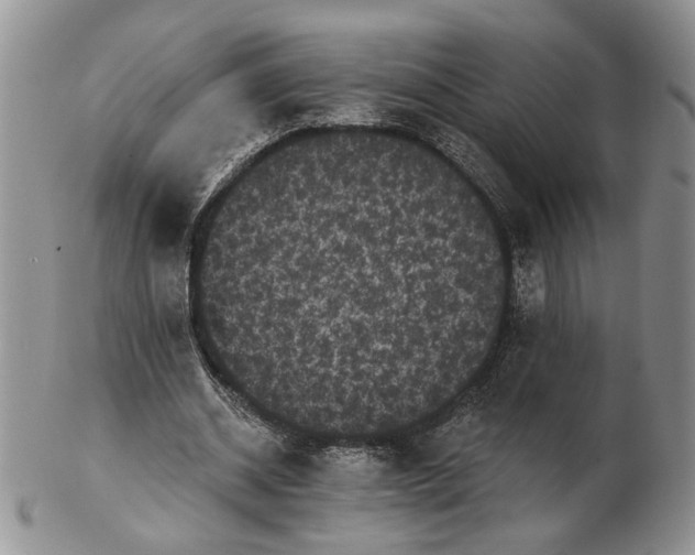 X0000102240534200808221332