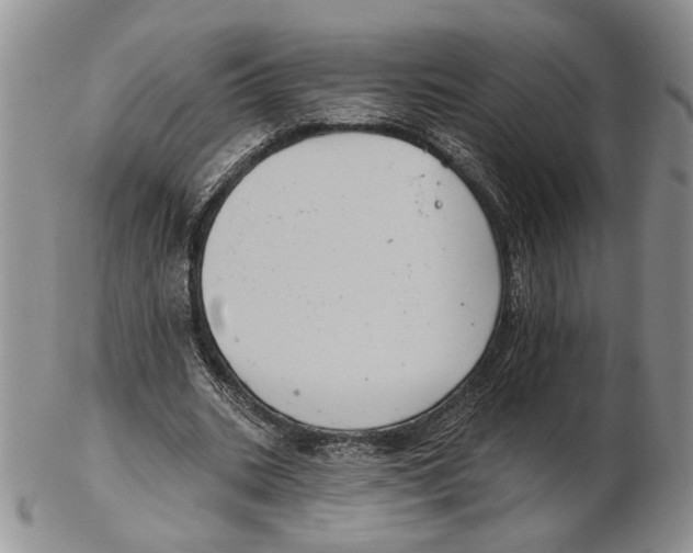 X0000102240535200808221332