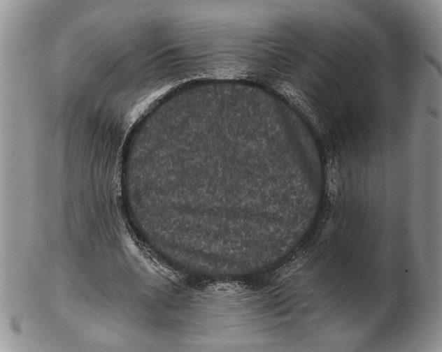 X0000102240536200808221332