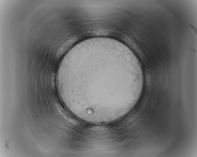 X0000102240537200808221332