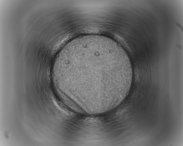 X0000102240538200808221332