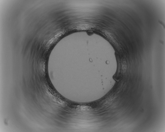 X0000102240539200808221332