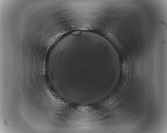 X0000102240540200808221333