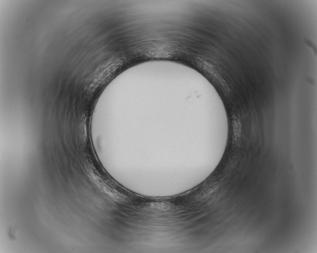 X0000102240541200808221333